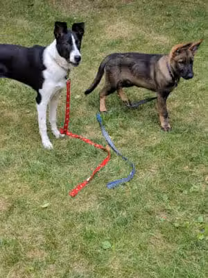 Covert Township Park - Covert,