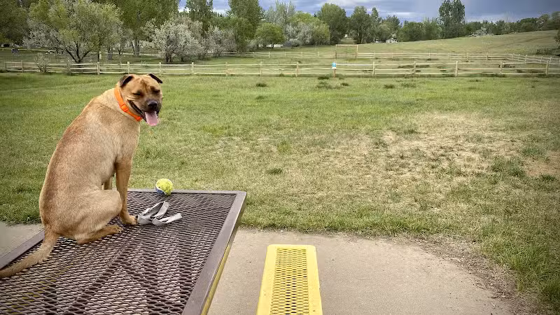 Craig Dog Park - Craig, CO