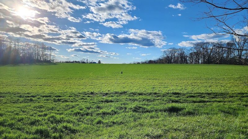 Clayton Park - Cream Ridge, NJ