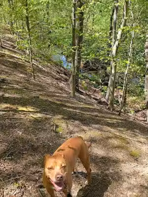 Clayton Park - Cream Ridge, NJ