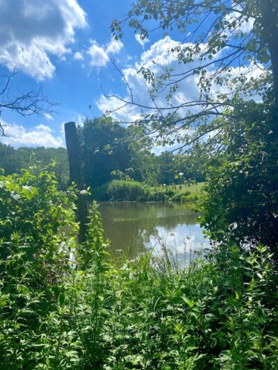 Clayton Park - Cream Ridge, NJ