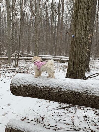 Clayton Park - Cream Ridge, NJ