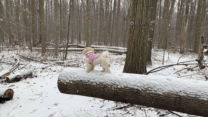 Clayton Park - Cream Ridge, NJ