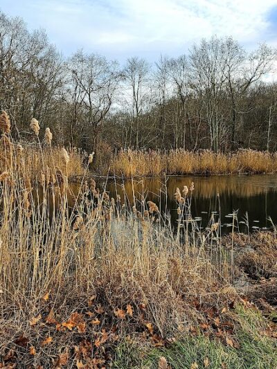 Clayton Park - Cream Ridge, NJ