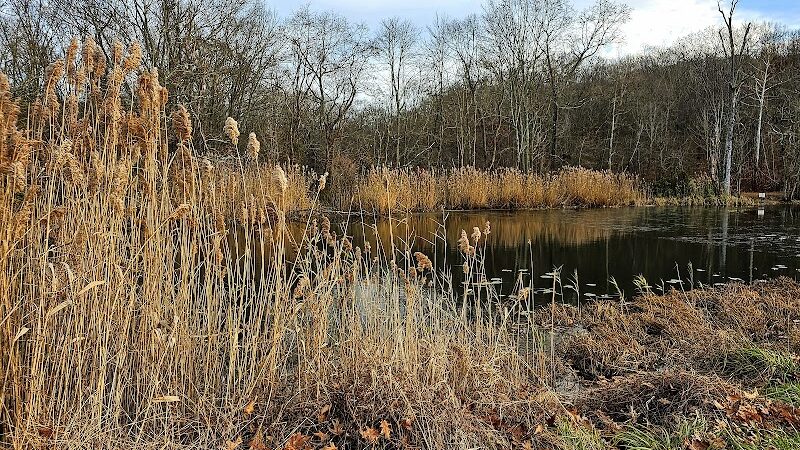 Clayton Park - Cream Ridge, NJ