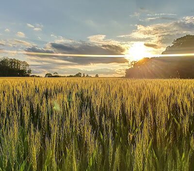 Clayton Park - Cream Ridge, NJ