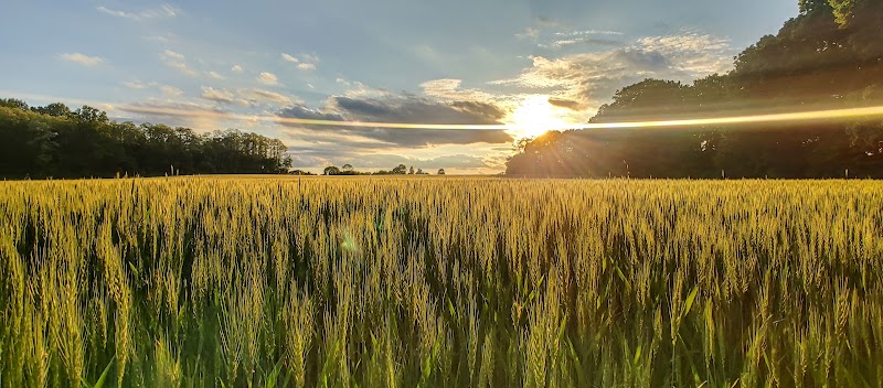 Clayton Park - Cream Ridge, NJ