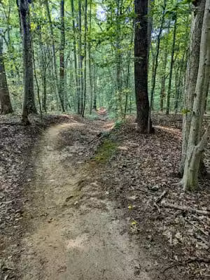 Clayton Park-Clayton Fields Trailhead - Cream Ridge, NJ
