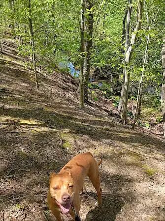 Clayton Park - Cream Ridge, NJ