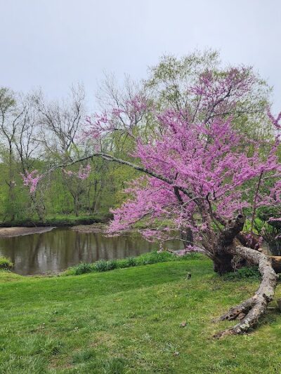 Crosswicks Creek Park - Cream Ridge, NJ