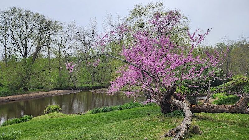 Crosswicks Creek Park - Cream Ridge, NJ