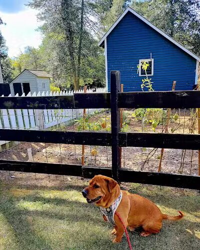 Crosswicks Creek Park - Cream Ridge, NJ