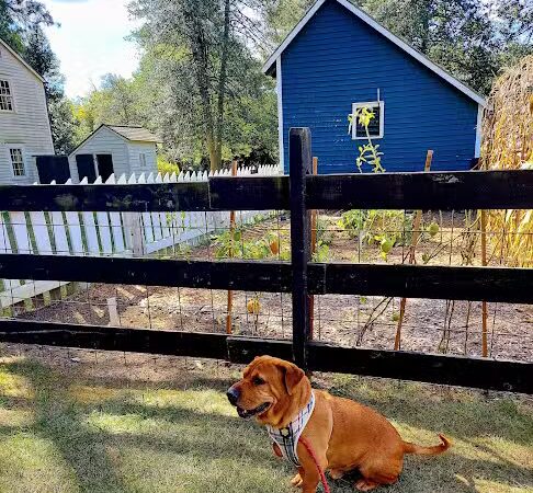 Crosswicks Creek Park - Cream Ridge, NJ