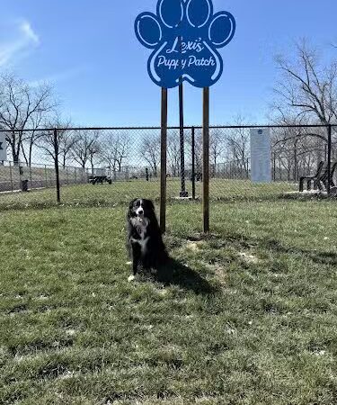 Lexi's Puppy Patch - Creston, IA