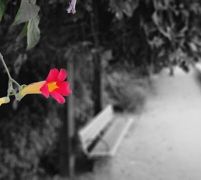 Rithet Park - Crockett, CA