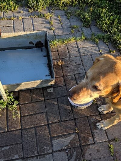 Dog Park - Crookston, MN