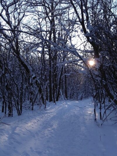 Dog Park - Crookston, MN
