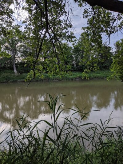 Dog Park - Crookston, MN