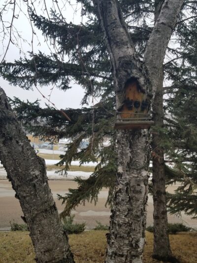 Dog Park - Crookston, MN