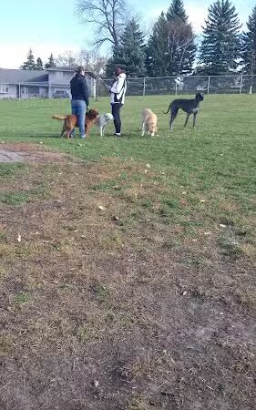 Dog Park - Crookston, MN