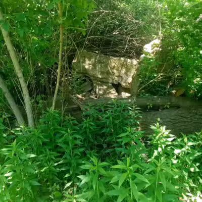 Duck Pond Walking Trail - Croswell, MI