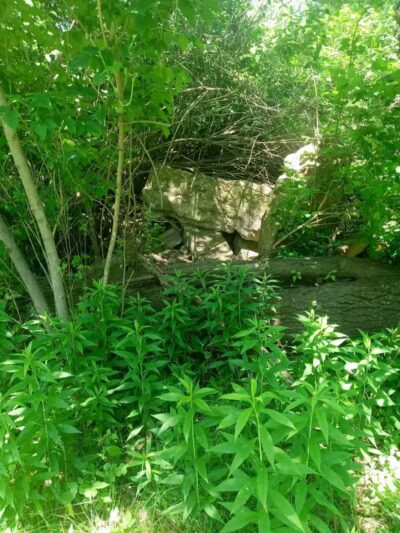 Duck Pond Walking Trail - Croswell, MI
