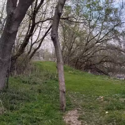 Duck Pond Walking Trail - Croswell, MI