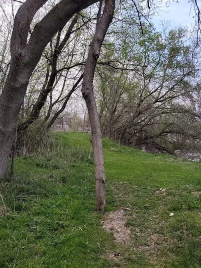 Duck Pond Walking Trail - Croswell, MI