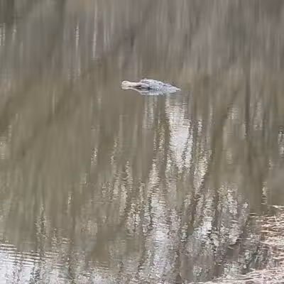 Duck Pond Walking Trail - Croswell, MI