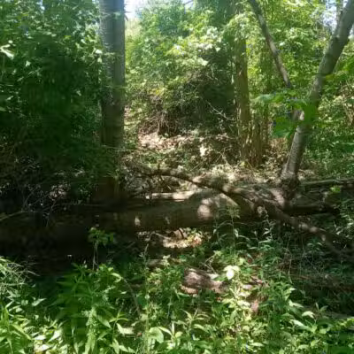 Duck Pond Walking Trail - Croswell, MI