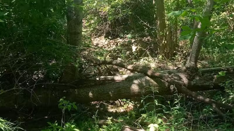 Duck Pond Walking Trail - Croswell, MI