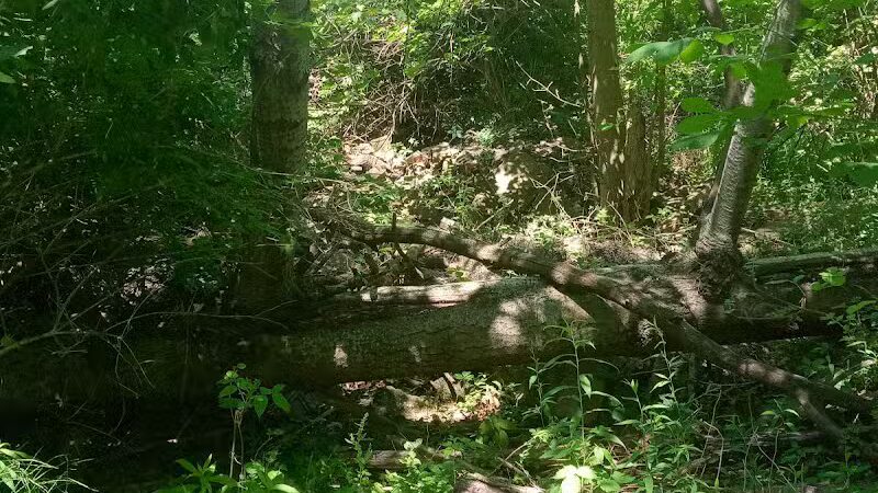 Duck Pond Walking Trail - Croswell, MI