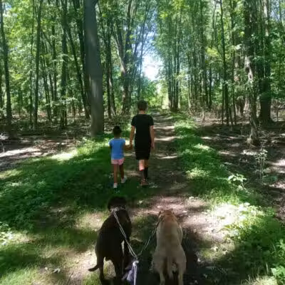 Duck Pond Walking Trail - Croswell, MI