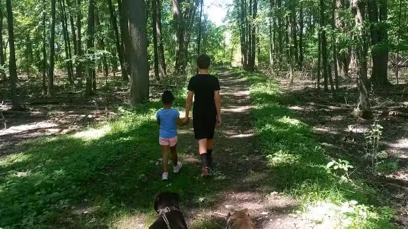 Duck Pond Walking Trail - Croswell, MI