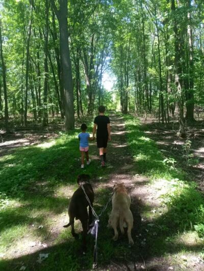 Duck Pond Walking Trail - Croswell, MI