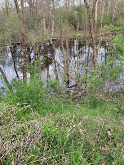 Duck Pond Walking Trail - Croswell, MI