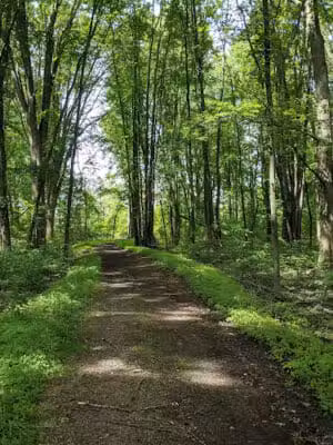 Duck Pond Walking Trail - Croswell, MI