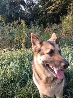 Harrington Road Park - Croswell, MI