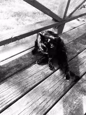 Truman Park - Croswell, MI