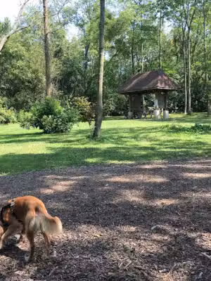 Warnimont Dog Park - Cudahy, WI