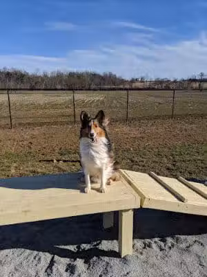 Lenn Park - Culpeper County Parks & Recreation - Culpeper, VA