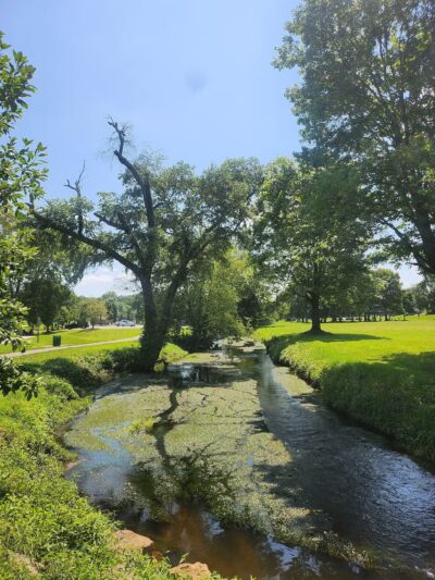 Yowell Meadow Park - Culpeper, VA