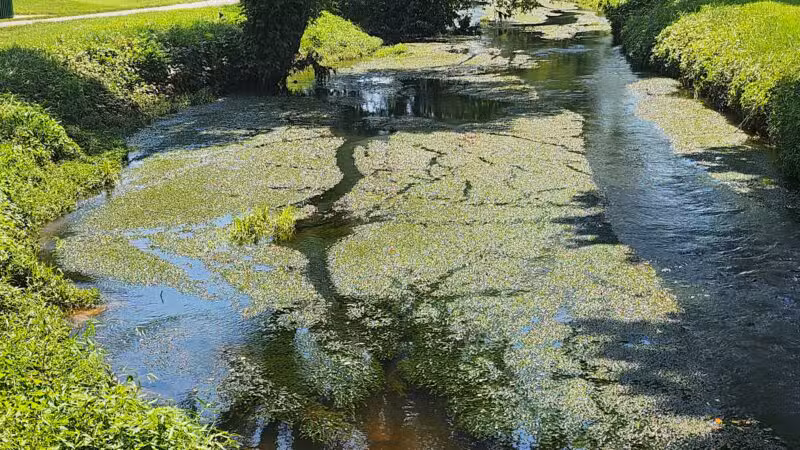 Yowell Meadow Park - Culpeper, VA