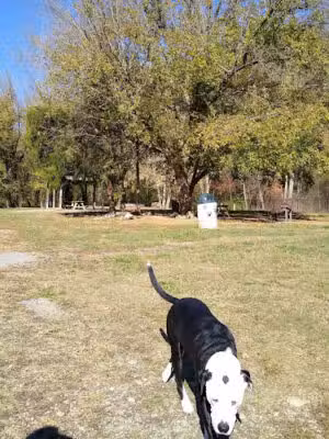 Kaitlyn DeVries Memorial Dog Park - Cumberland Gap, TN