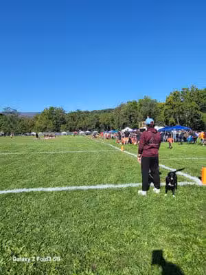 Brauer Ball Field - Cumberland, MD