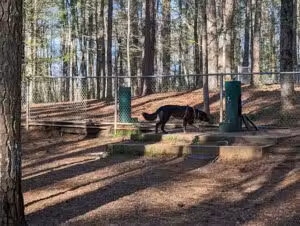 Fowler Dog Park - Cumming, GA