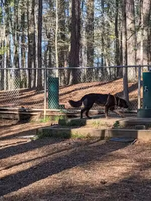 Fowler Dog Park - Cumming, GA