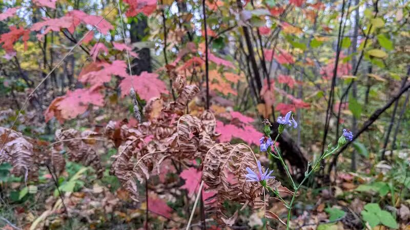 Gabions Campground and Day Use - Curran,