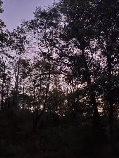 Gabions Campground and Day Use - Curran,