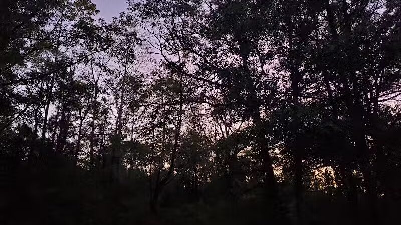 Gabions Campground and Day Use - Curran,